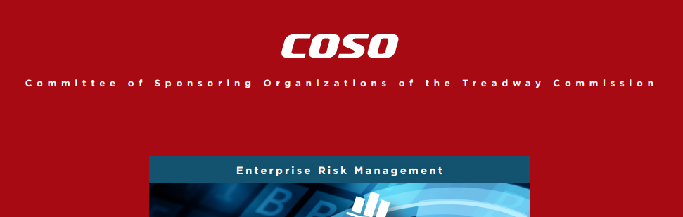 COSO ERM Framework